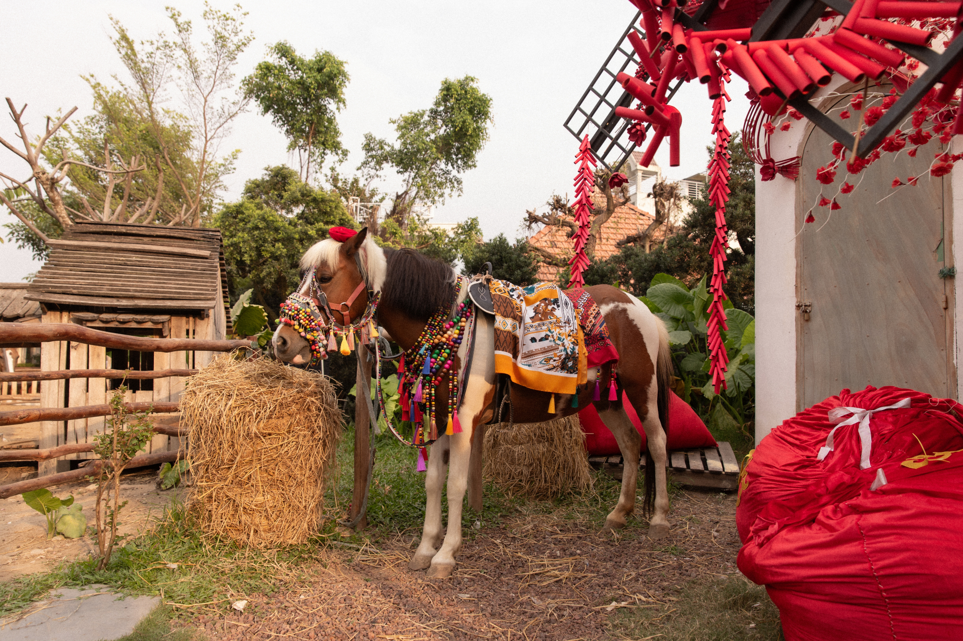 Ngựa đen tiền tỷ &ldquo;k&eacute;o kh&aacute;ch&rdquo; dịp Tết B&iacute;nh Ngọ: Kh&aacute;ch sẵn s&agrave;ng chi 10 triệu, studio tất bật chạy trend- Ảnh 4.