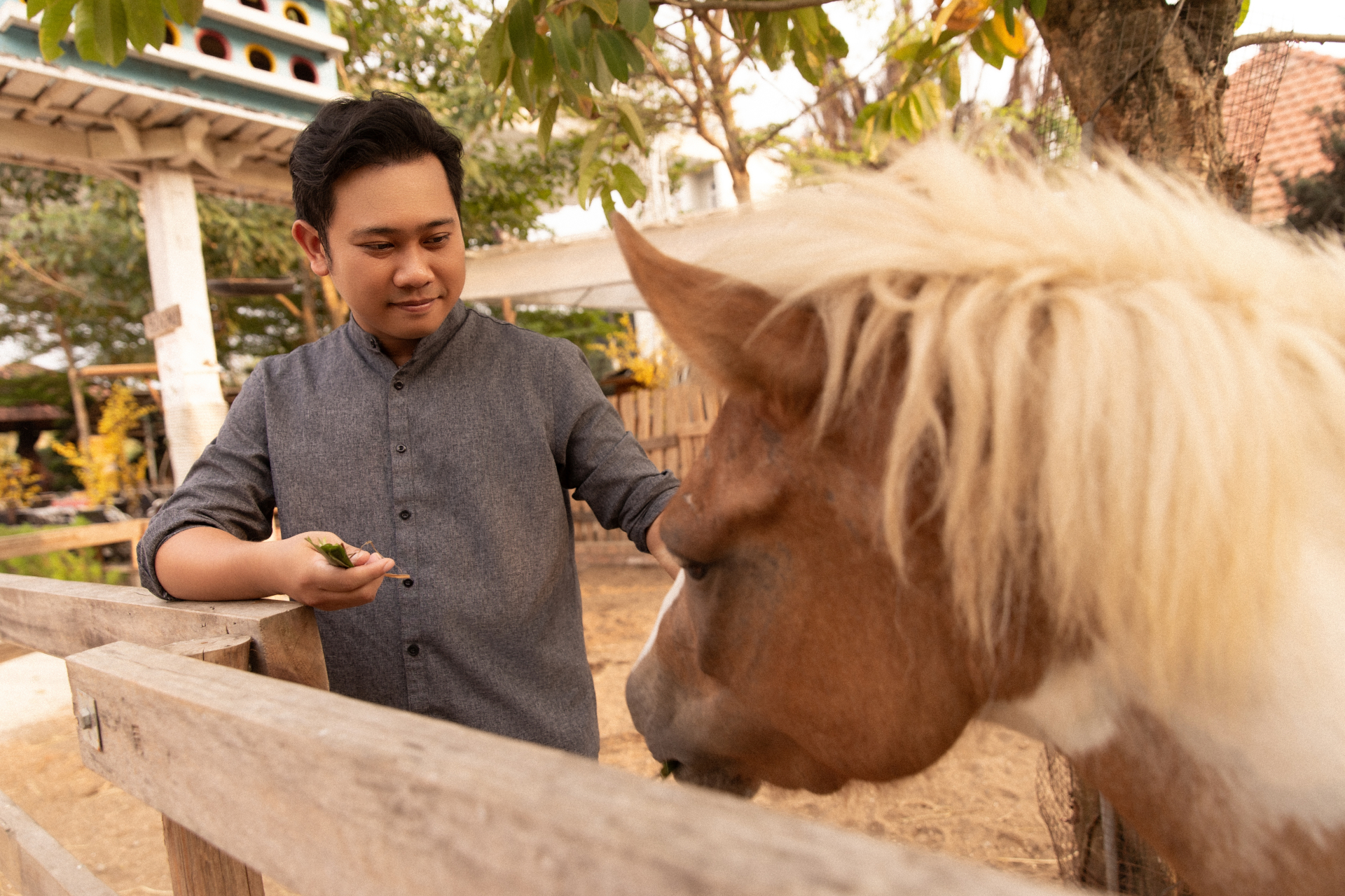 Ngựa đen tiền tỷ &ldquo;k&eacute;o kh&aacute;ch&rdquo; dịp Tết B&iacute;nh Ngọ: Kh&aacute;ch sẵn s&agrave;ng chi 10 triệu, studio tất bật chạy trend- Ảnh 3.