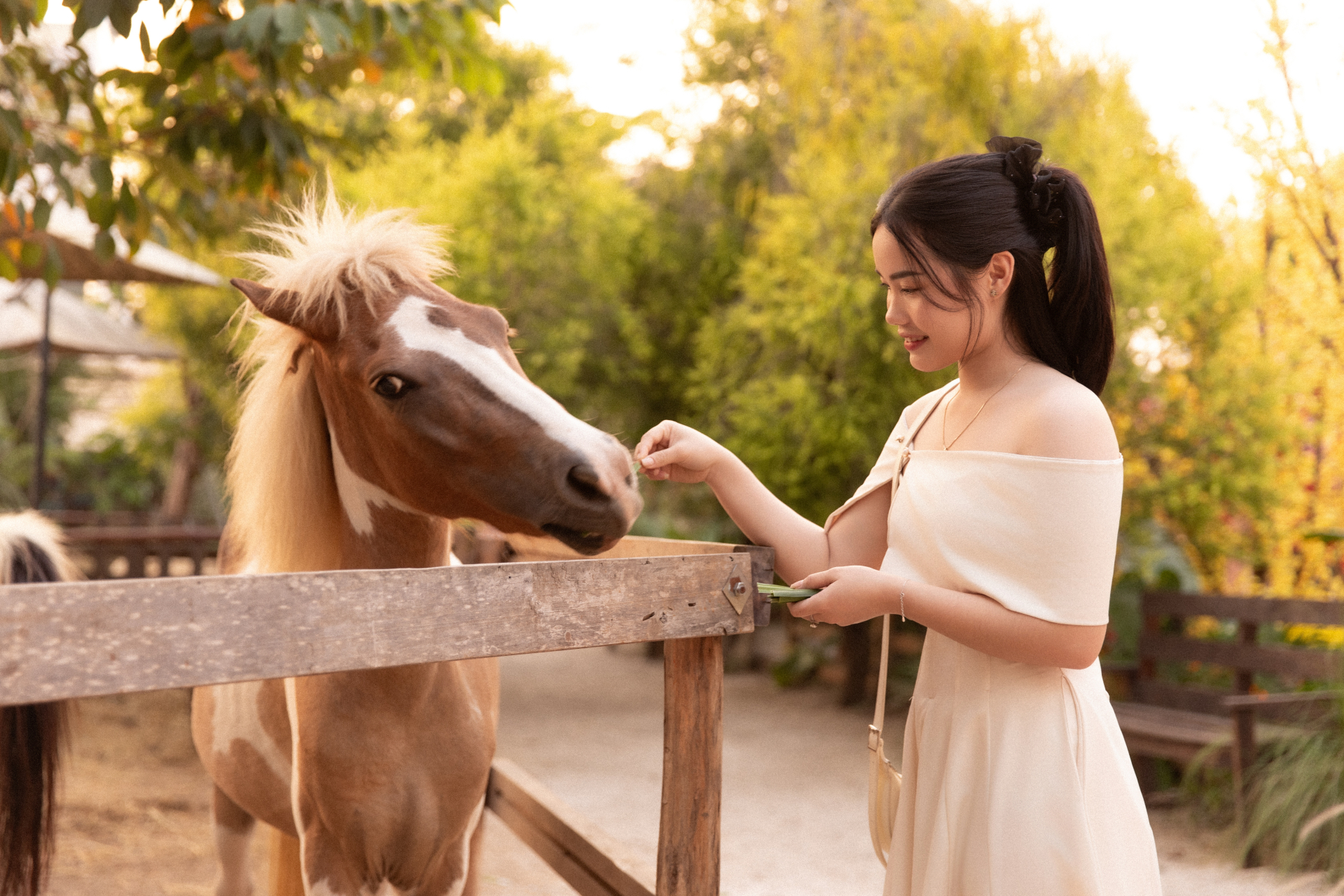 Ngựa đen tiền tỷ &ldquo;k&eacute;o kh&aacute;ch&rdquo; dịp Tết B&iacute;nh Ngọ: Kh&aacute;ch sẵn s&agrave;ng chi 10 triệu, studio tất bật chạy trend- Ảnh 7.