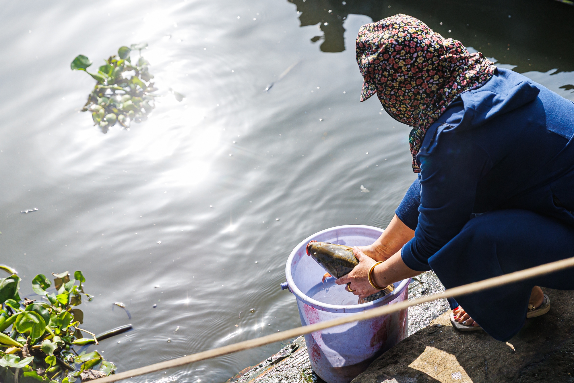 Mía chằng kín xe máy, cá chép đỏ rực bến sông: TP.HCM - Hà Nội rộn ràng tiễn ông Công ông Táo ngày 23 tháng Chạp- Ảnh 4.