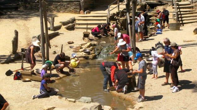 Ph&aacute;t hiện h&agrave;ng loạt người bỏ c&ocirc;ng bỏ việc, đổ x&ocirc; đi đ&agrave;o v&agrave;ng mong đổi đời sau 1 đ&ecirc;m: C&oacute; người từng đ&agrave;o được 72kg- Ảnh 2.