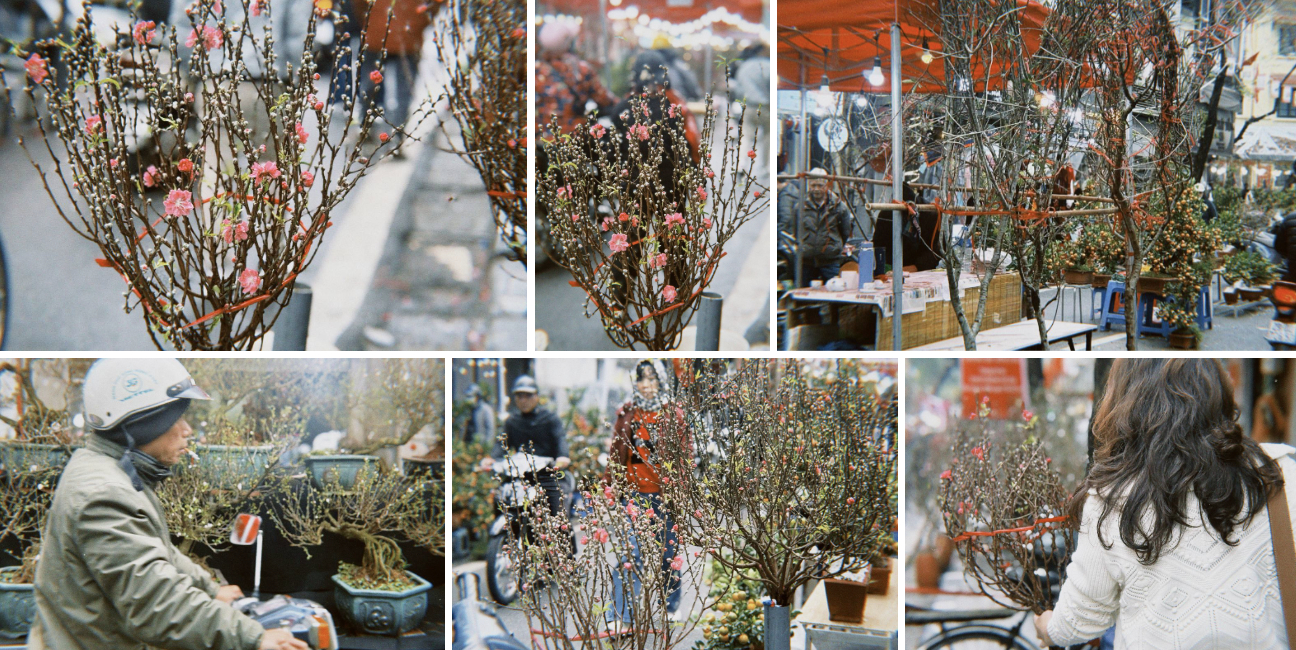 Chợ hoa cổ nhất H&agrave; Nội ng&agrave;y 23 th&aacute;ng Chạp: Quất chum, quất mini "chiếm s&oacute;ng", đ&agrave;o khủng vắng b&oacute;ng, người xem nhiều hơn người mua- Ảnh 6.