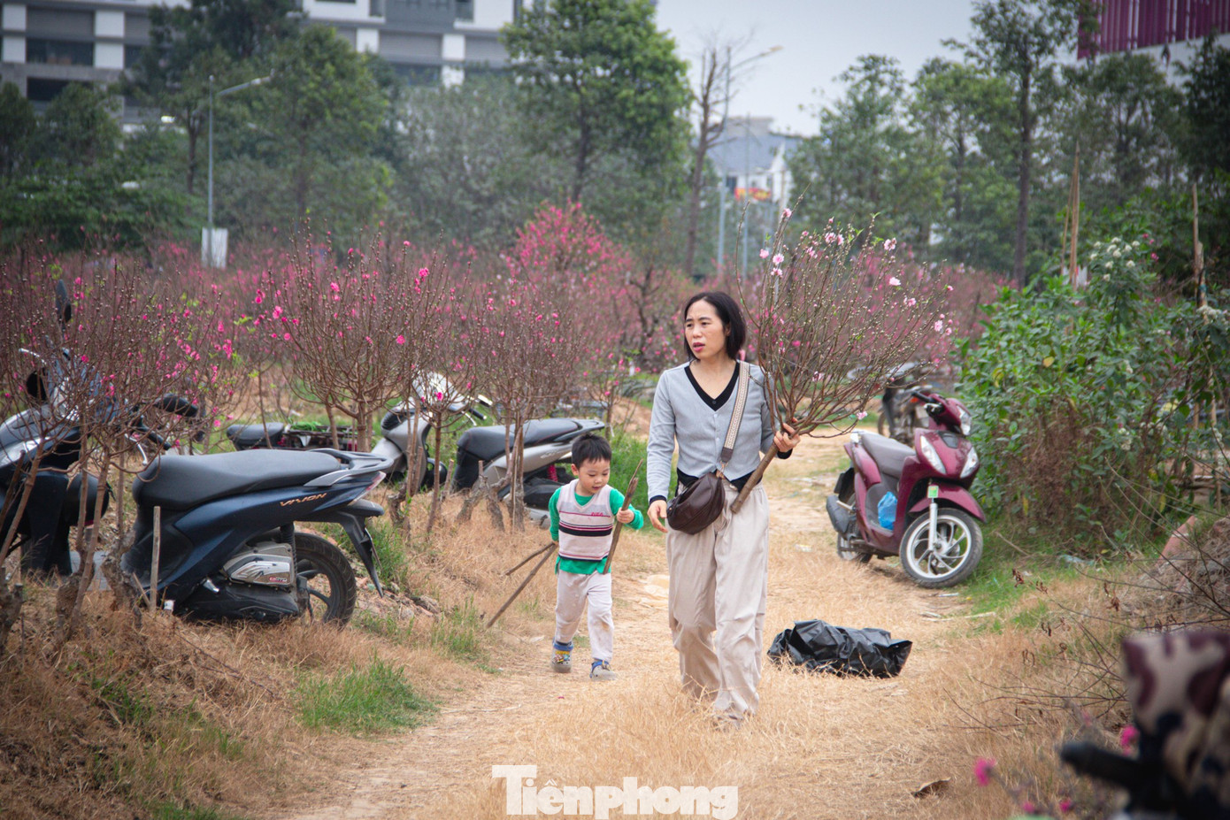 Thời tiết 'ép' đào nở sớm, nhà vườn xả hàng gỡ vốn như chiều 30 Tết- Ảnh 13.