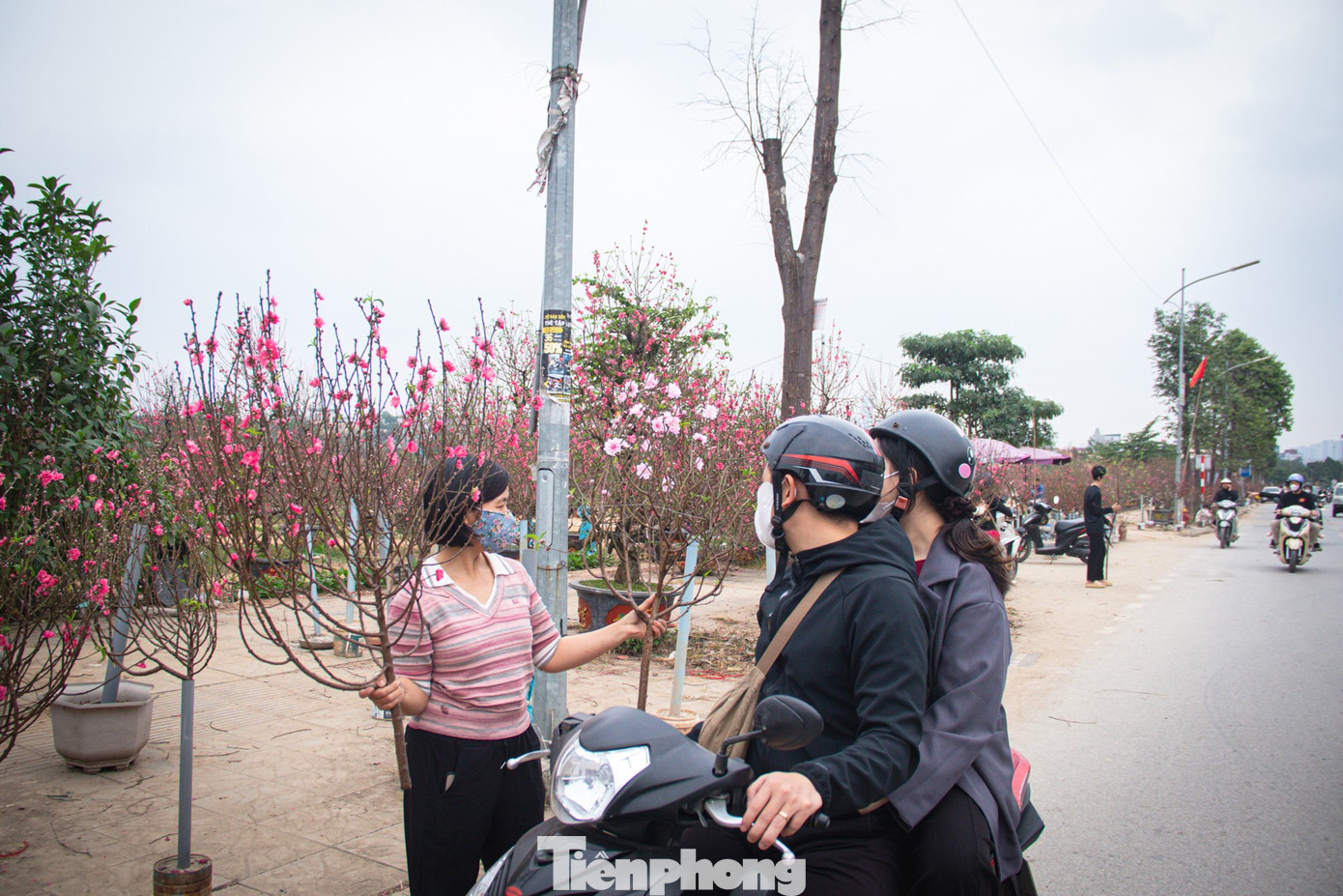 Thời tiết 'ép' đào nở sớm, nhà vườn xả hàng gỡ vốn như chiều 30 Tết- Ảnh 11.