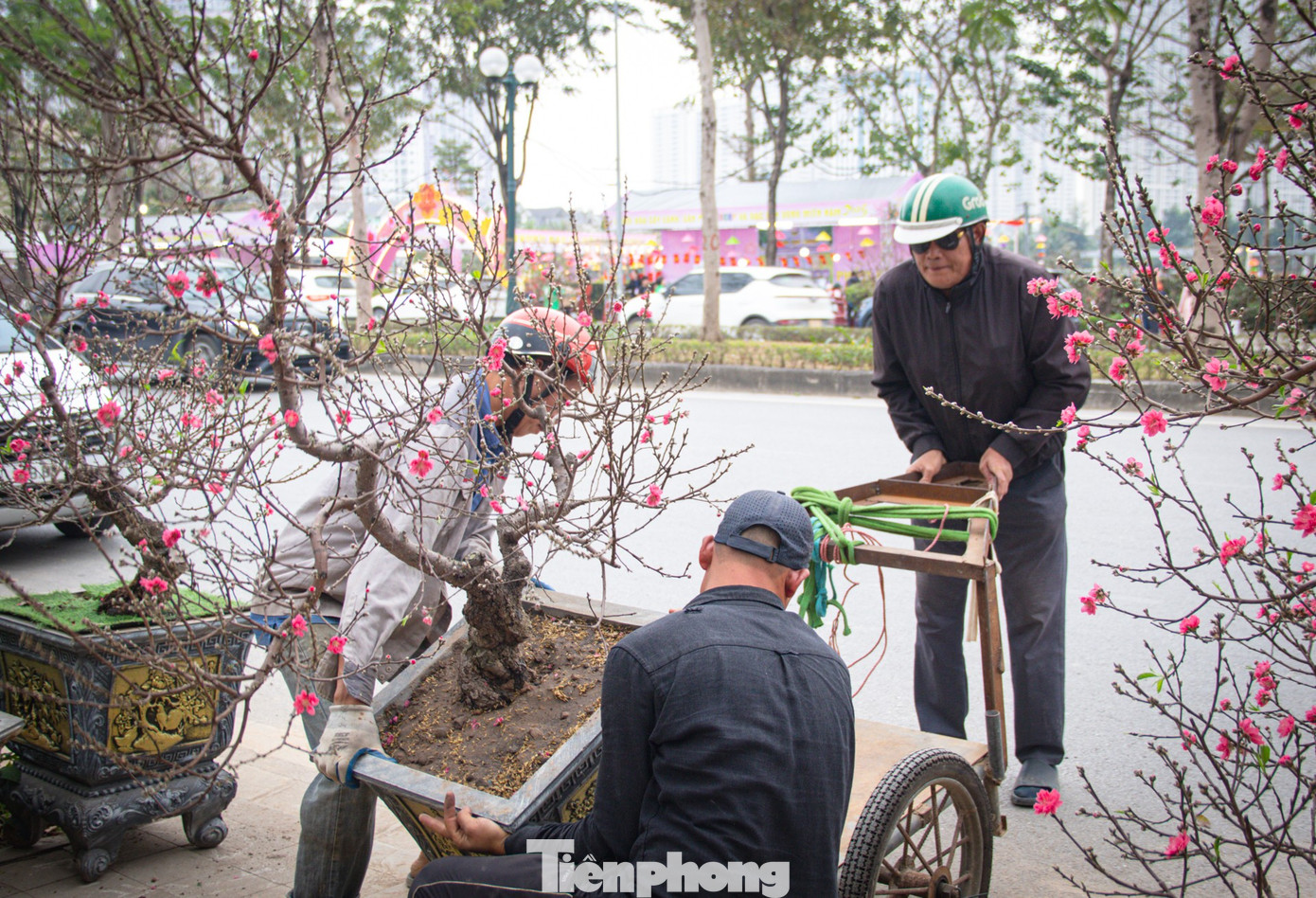 Thời tiết 'ép' đào nở sớm, nhà vườn xả hàng gỡ vốn như chiều 30 Tết- Ảnh 12.