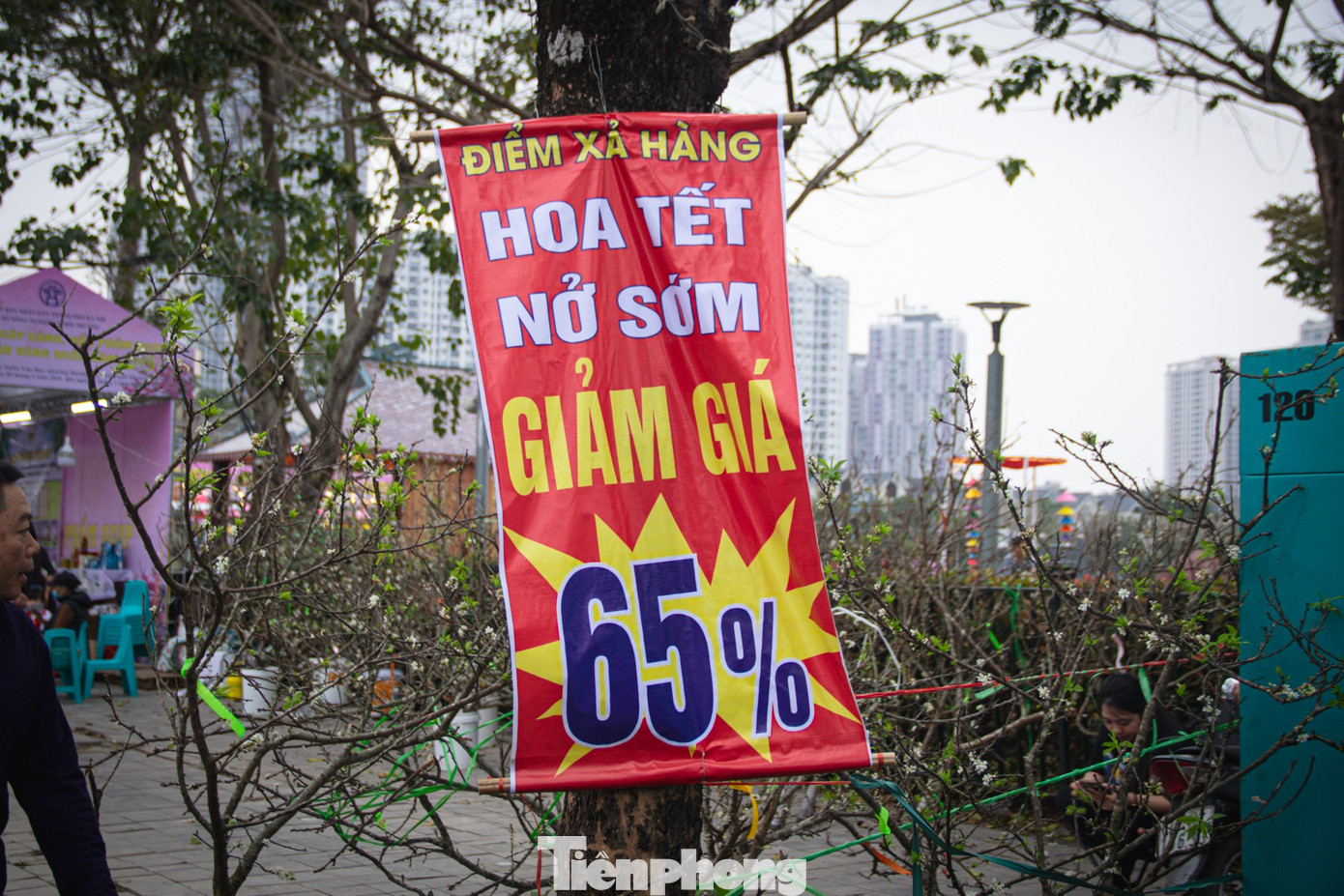 Thời tiết 'ép' đào nở sớm, nhà vườn xả hàng gỡ vốn như chiều 30 Tết- Ảnh 4.