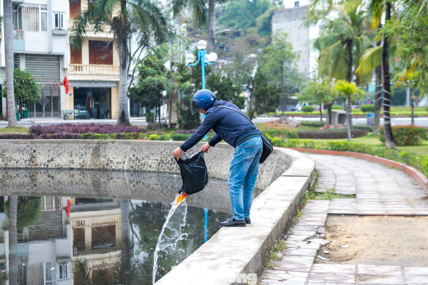Hầu hết c&aacute; ch&eacute;p chết ngửa bụng sau 15 ph&uacute;t thả xuống hồ- Ảnh 1.