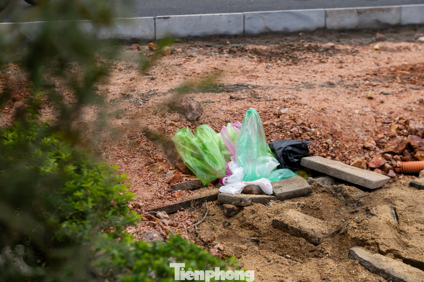 Hầu hết c&aacute; ch&eacute;p chết ngửa bụng sau 15 ph&uacute;t thả xuống hồ- Ảnh 9.