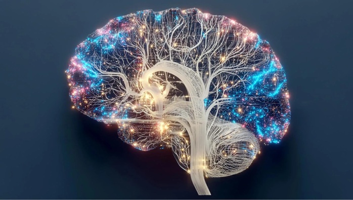 Nghi&ecirc;n cứu Mỹ ph&aacute;t hiện điều kỳ lạ xảy ra khi thiếu ngủ- Ảnh 1.