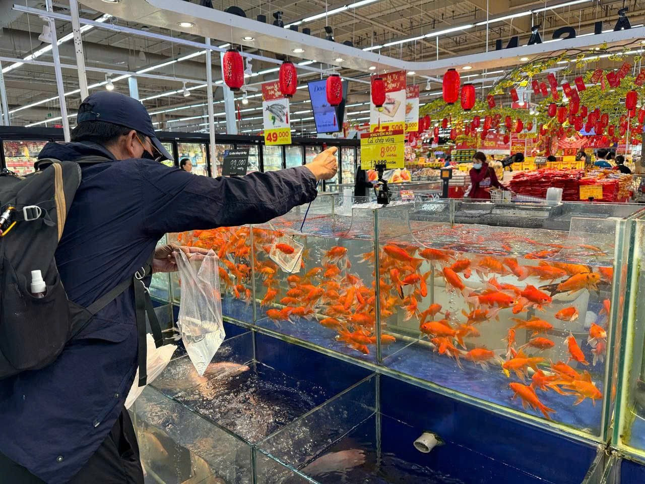 C&aacute; ch&eacute;p '2 &ocirc;ng 1 b&agrave;' ng&oacute;ng kh&aacute;ch- Ảnh 4.