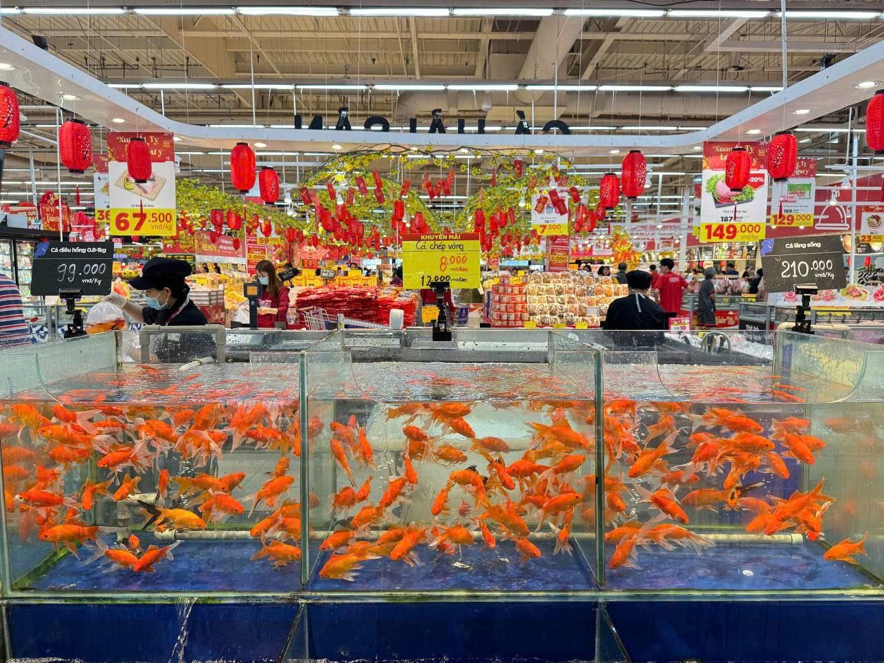 C&aacute; ch&eacute;p '2 &ocirc;ng 1 b&agrave;' ng&oacute;ng kh&aacute;ch- Ảnh 6.