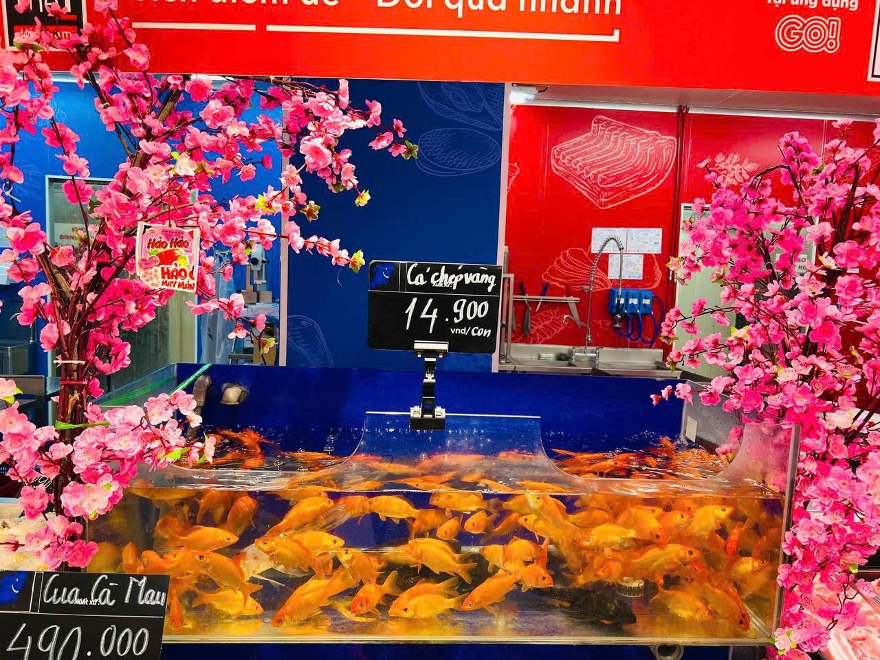 C&aacute; ch&eacute;p '2 &ocirc;ng 1 b&agrave;' ng&oacute;ng kh&aacute;ch- Ảnh 5.