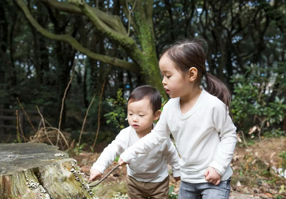 Hiệu trưởng ĐH Harvard: Th&agrave; con học k&eacute;m cũng đừng &eacute;p đi học th&ecirc;m, chăm tới 3 địa điểm n&agrave;y gi&uacute;p IQ vượt bậc, n&acirc;ng tầm nhận thức- Ảnh 1.