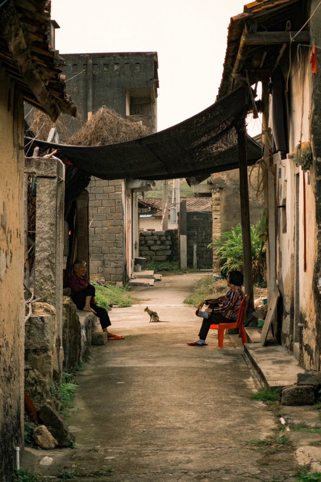 Đi 5.000km về qu&ecirc; ăn Tết, ng&oacute; v&agrave;o ph&ograve;ng ngủ thấy bố mẹ l&agrave;m điều n&agrave;y với 3,6 tỷ, t&ocirc;i bắt xe trở ngược lại th&agrave;nh phố: &ldquo;Xin bu&ocirc;ng tha cho con&rdquo;- Ảnh 4.