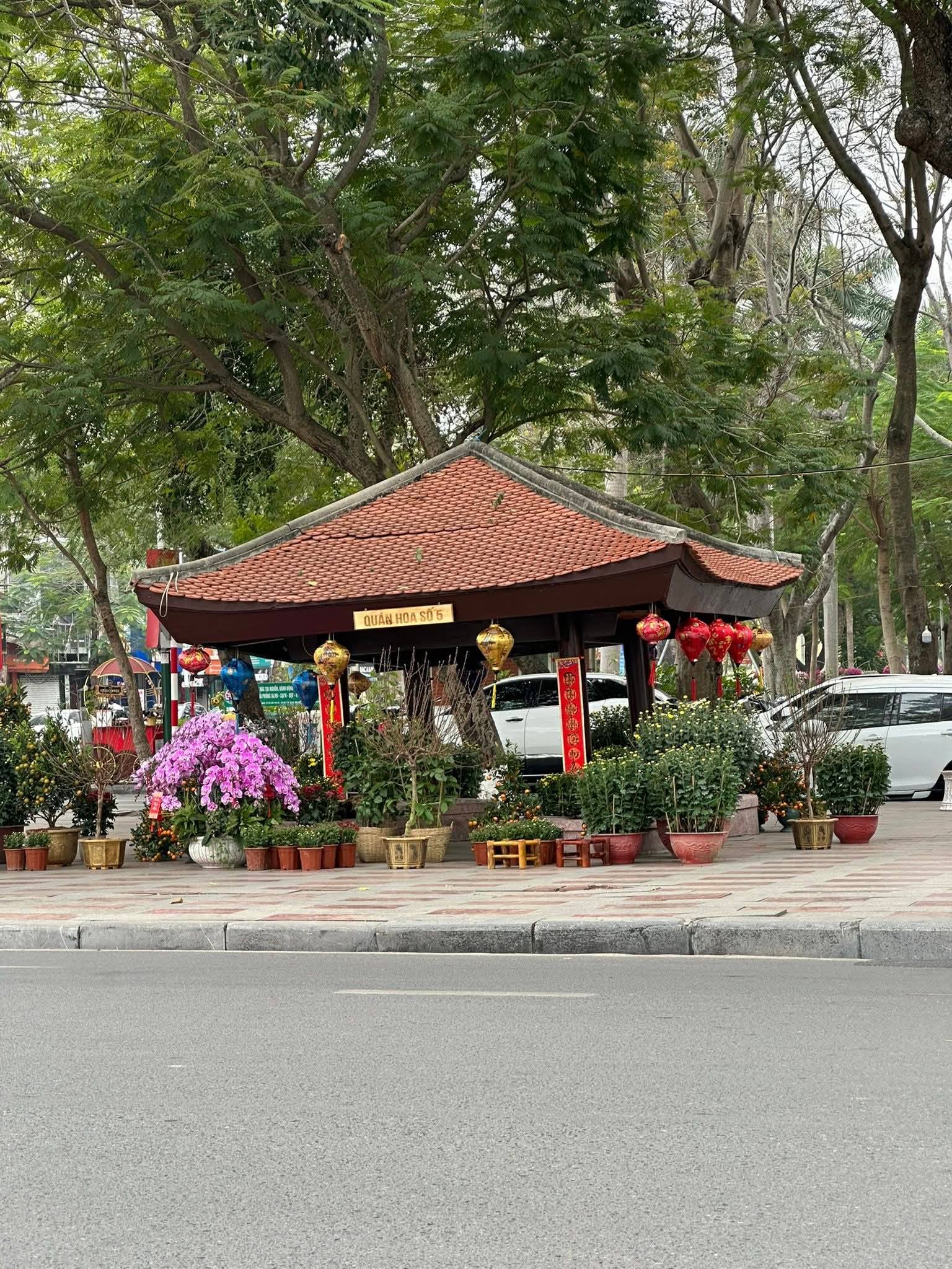 Ở Hải Ph&ograve;ng c&oacute; thứ m&agrave; H&agrave; Nội v&agrave; TP.HCM hiếm thấy: Tồn tại suốt hơn 80 năm, sắp được kh&ocirc;i phục hoạt động- Ảnh 7.