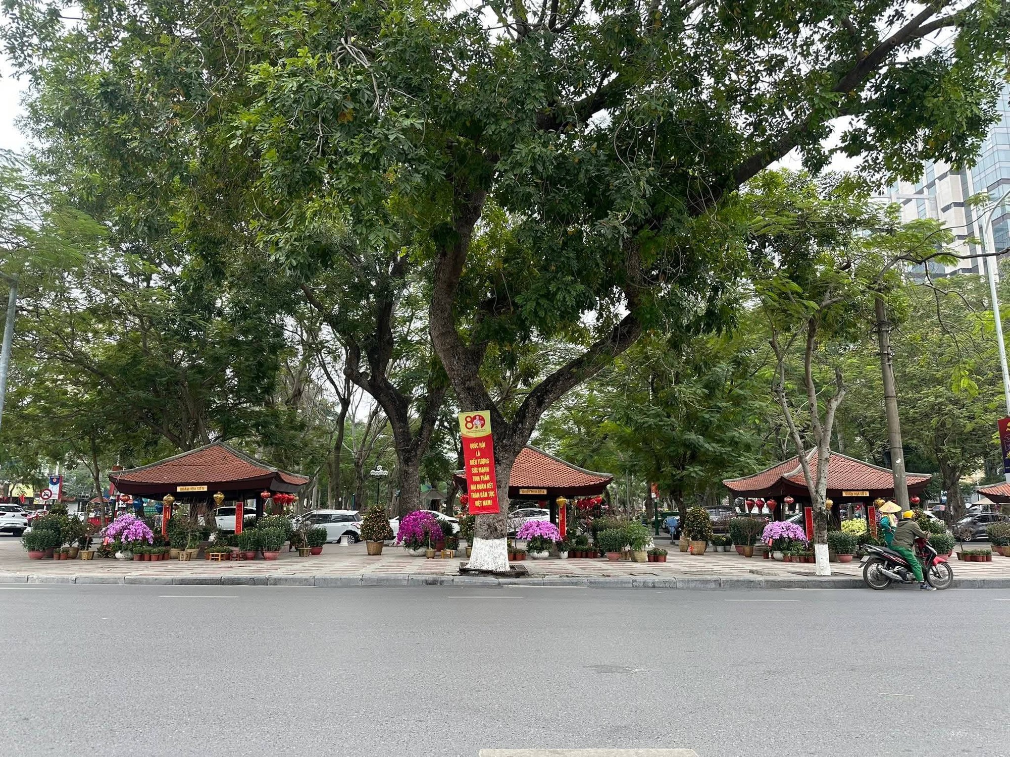 Ở Hải Ph&ograve;ng c&oacute; thứ m&agrave; H&agrave; Nội v&agrave; TP.HCM hiếm thấy: Tồn tại suốt hơn 80 năm, sắp được kh&ocirc;i phục hoạt động- Ảnh 5.