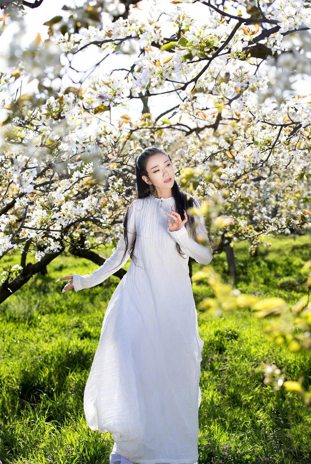 "Chim c&ocirc;ng l&agrave;ng m&uacute;a" Dương Lệ B&igrave;nh U70 vẫn d&aacute;ng thẳng lưng thon: Rất chăm d&ugrave;ng 2 "m&oacute;n" để nu&ocirc;i dưỡng kh&iacute; huyết, bổ nội tiết- Ảnh 4.