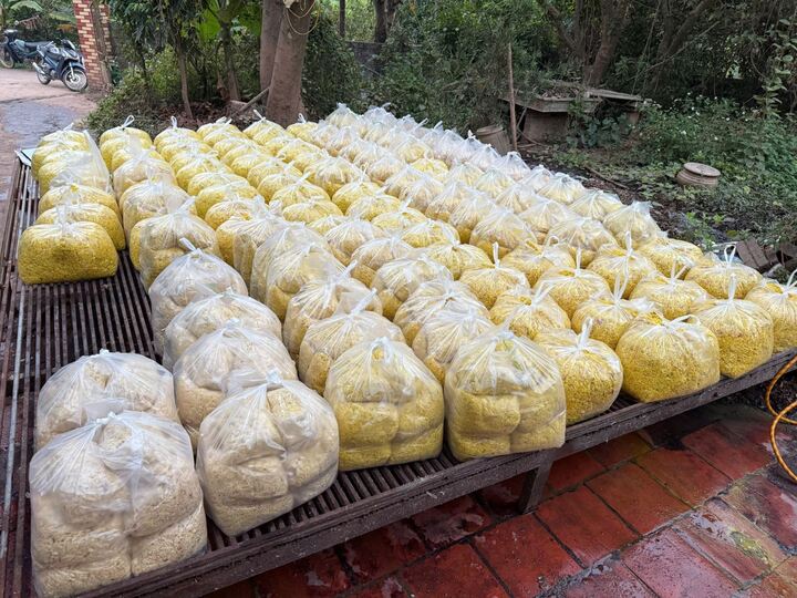 Trộn chất gây ung thư vào gần 2 tấn riềng xay bán ra chợ ở Bắc Ninh- Ảnh 2.