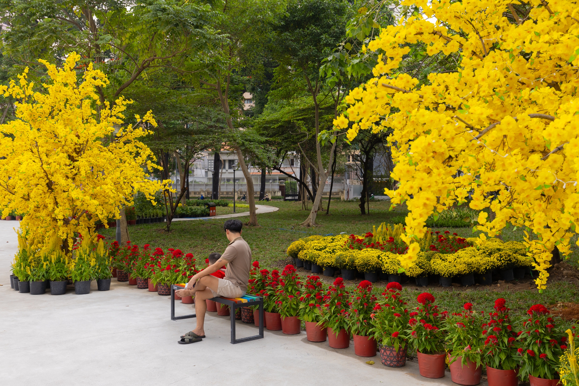 Loạt c&ocirc;ng tr&igrave;nh biểu tượng trăm tuổi của TP.HCM &ldquo;thay &aacute;o mới&rdquo;: Trung t&acirc;m giờ nh&igrave;n lạ qu&aacute;!- Ảnh 30.