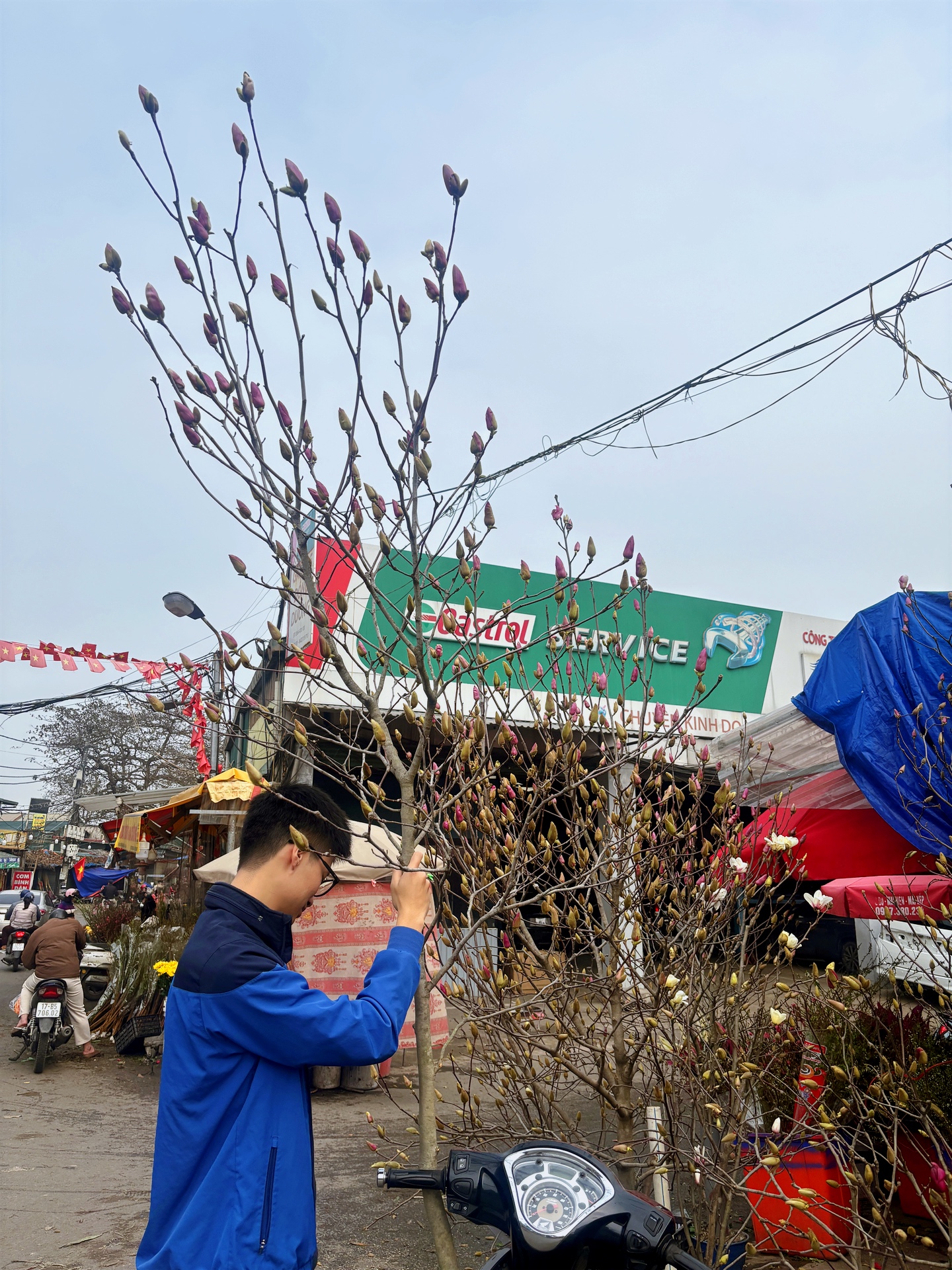 Chợ hoa Quảng B&aacute; năm nay: Một loại hoa mới chiếm s&oacute;ng, gi&aacute; l&ecirc;n đến tiền triệu nhưng kh&aacute;ch chốt mua chỉ trong nốt nhạc- Ảnh 9.