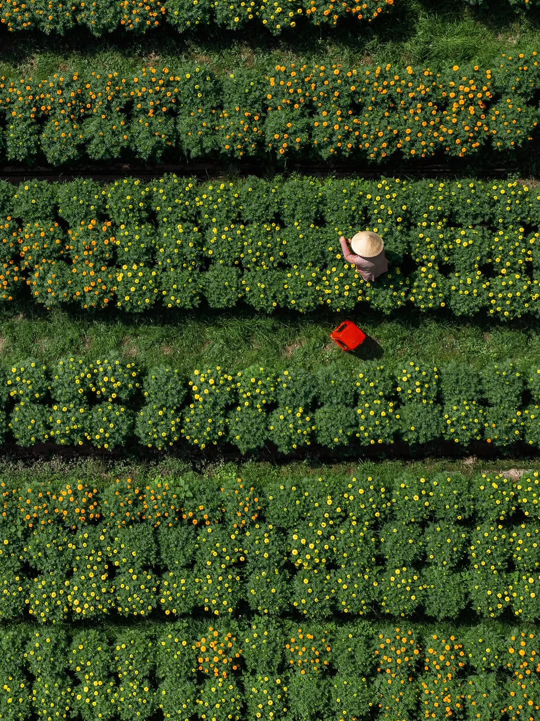 Cho&aacute;ng ngợp trước 