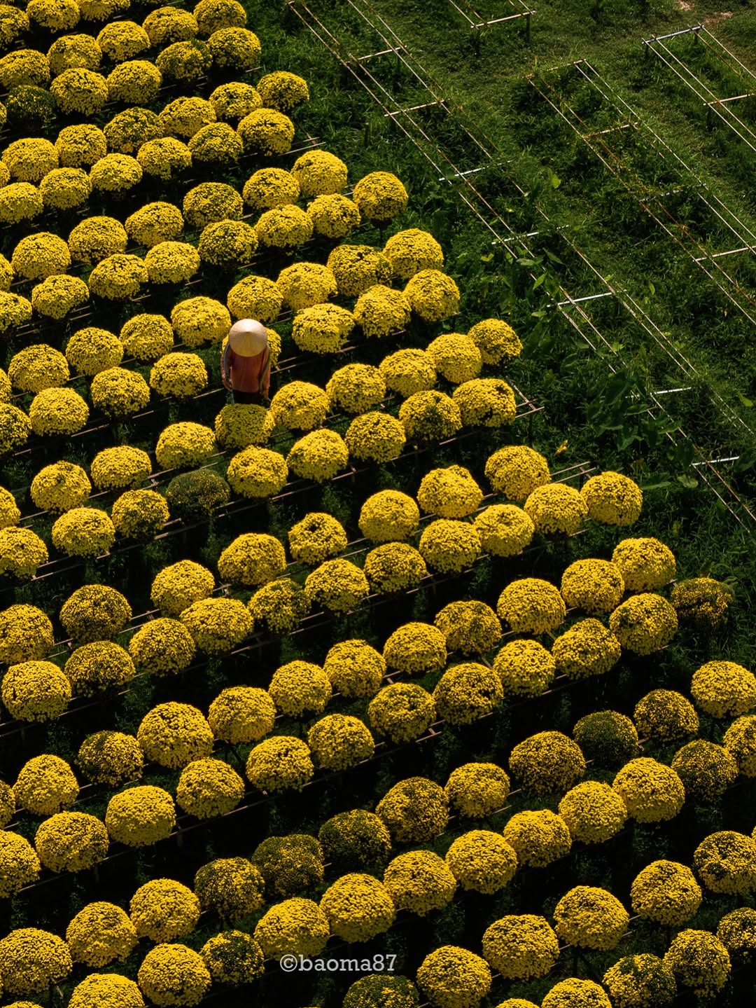 Cho&aacute;ng ngợp trước 