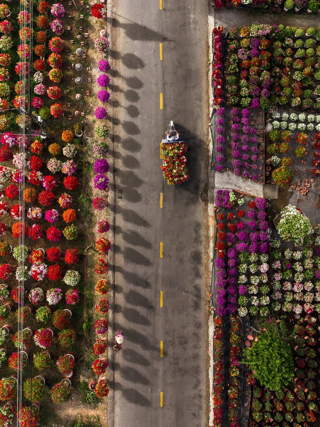 Cho&aacute;ng ngợp trước 