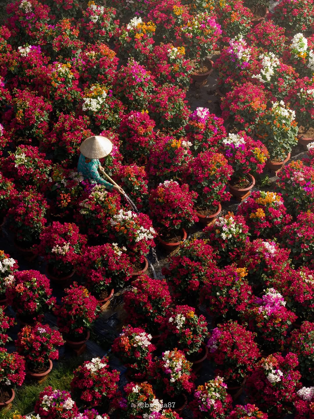 Cho&aacute;ng ngợp trước 