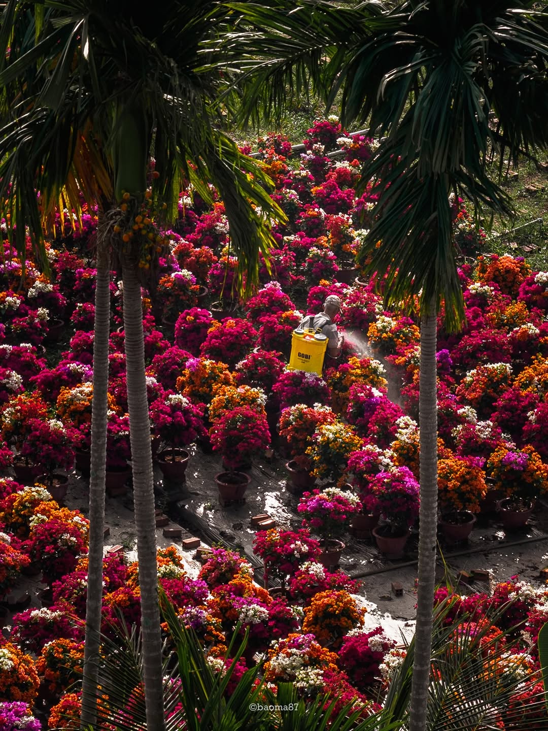 Cho&aacute;ng ngợp trước 