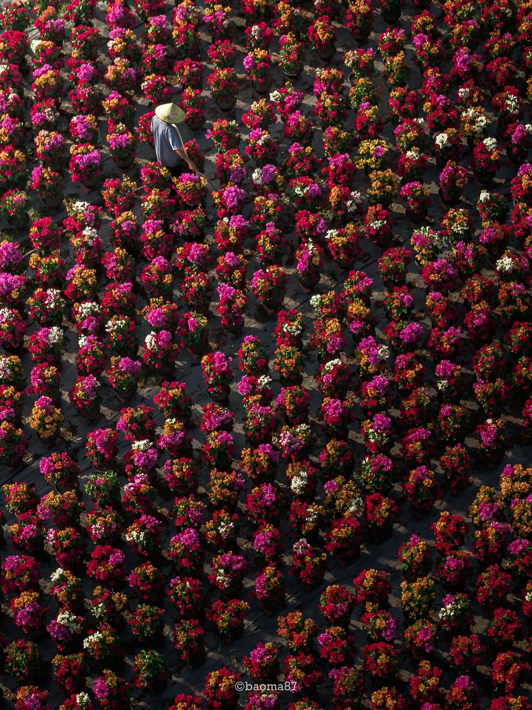 Cho&aacute;ng ngợp trước 