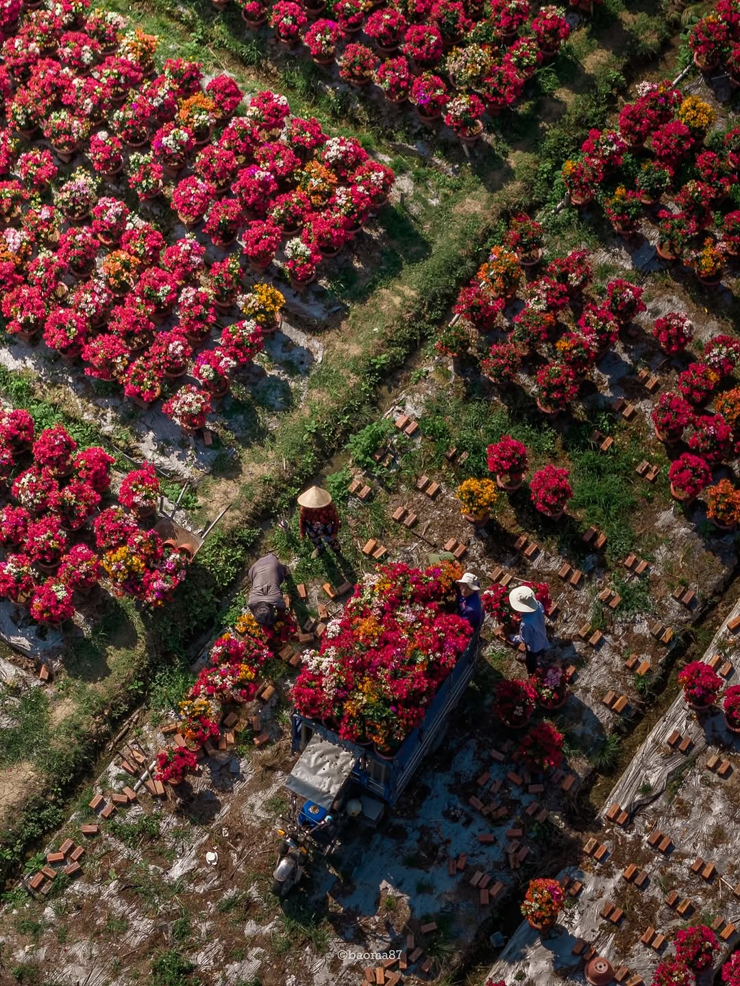 Cho&aacute;ng ngợp trước 