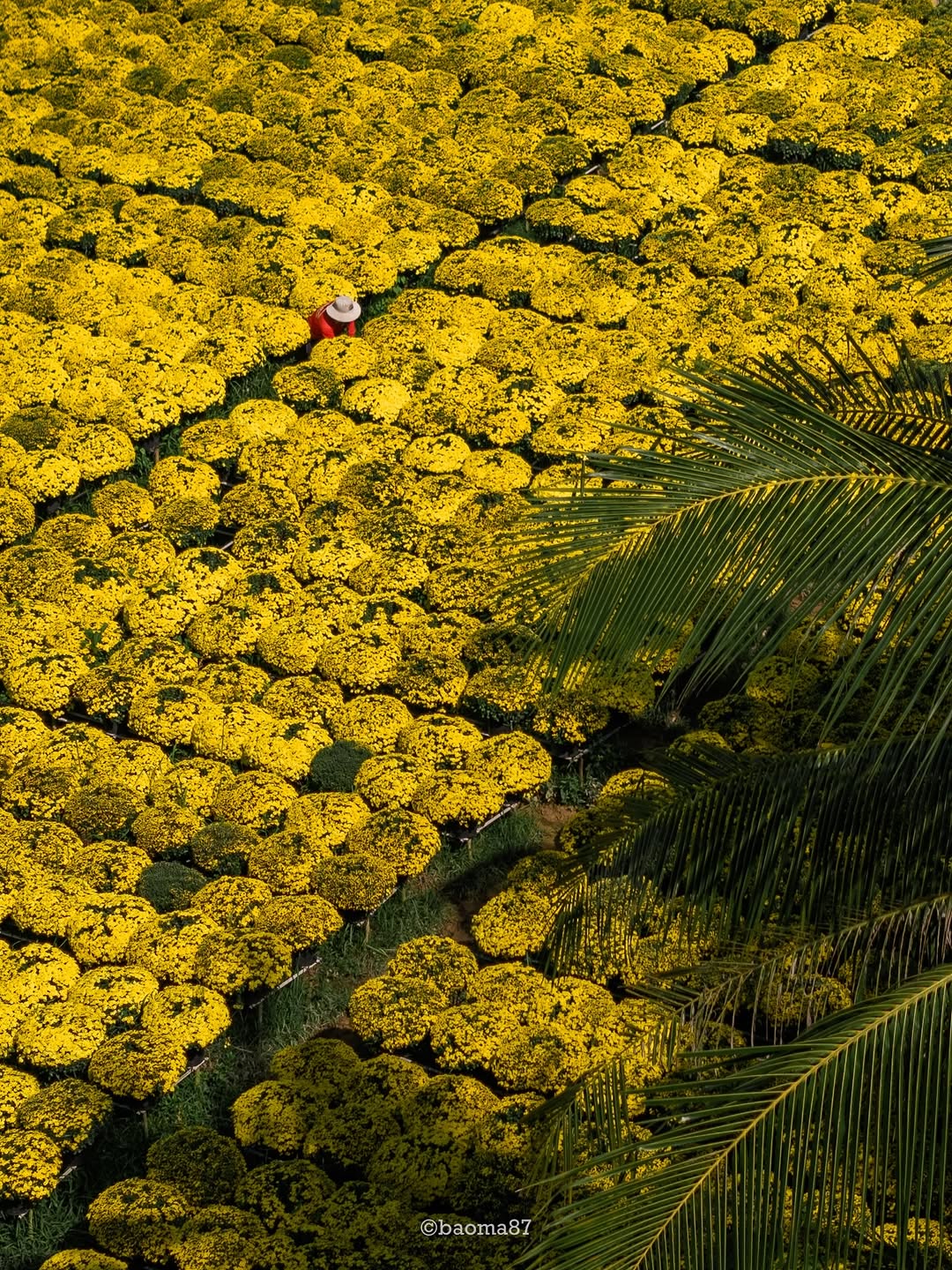 Cho&aacute;ng ngợp trước 