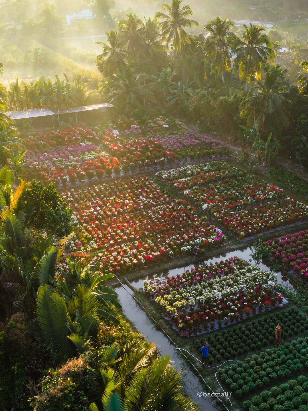 Cho&aacute;ng ngợp trước 