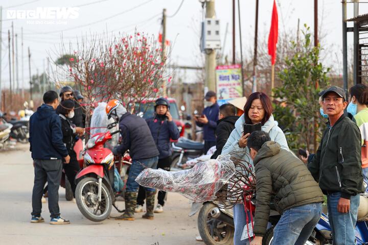 L&agrave;ng đ&agrave;o lớn nhất miền Bắc rộn r&agrave;ng v&agrave;o vụ Tết- Ảnh 10.