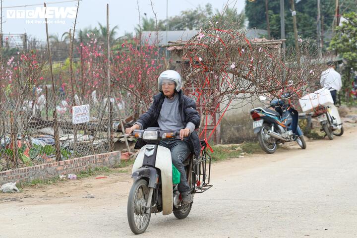 L&agrave;ng đ&agrave;o lớn nhất miền Bắc rộn r&agrave;ng v&agrave;o vụ Tết- Ảnh 15.