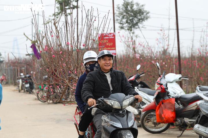 L&agrave;ng đ&agrave;o lớn nhất miền Bắc rộn r&agrave;ng v&agrave;o vụ Tết- Ảnh 14.