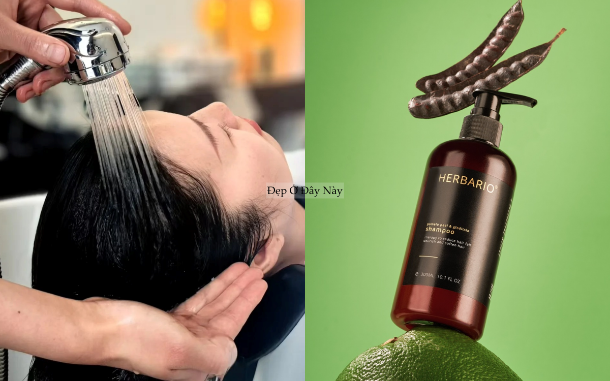 BTV kh&ocirc;ng chọn dầu gội bừa, đ&acirc;y l&agrave; 4 loại t&ocirc;i d&ugrave;ng suốt nhiều năm- Ảnh 4.