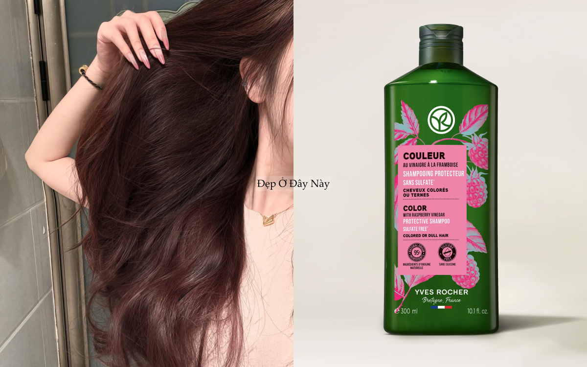 BTV kh&ocirc;ng chọn dầu gội bừa, đ&acirc;y l&agrave; 4 loại t&ocirc;i d&ugrave;ng suốt nhiều năm- Ảnh 5.