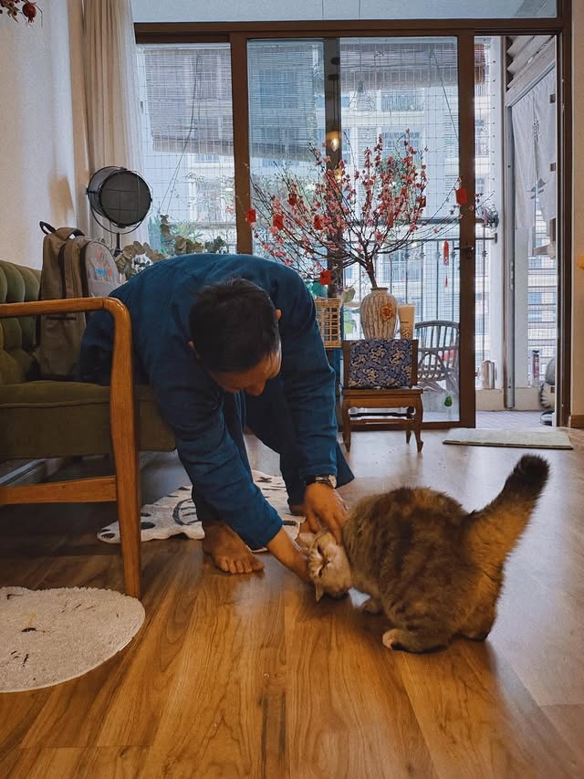 Jun Phạm đ&oacute;n Tết trong căn hộ 75m2: Giản dị m&agrave; ấm &aacute;p, nh&igrave;n g&oacute;c n&agrave;o cũng chữa l&agrave;nh- Ảnh 3.