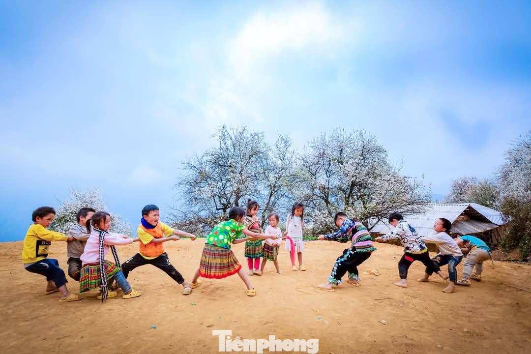 Hoa sơn tra đẹp như cổ t&iacute;ch giữa đất trời T&acirc;y Bắc- Ảnh 6.