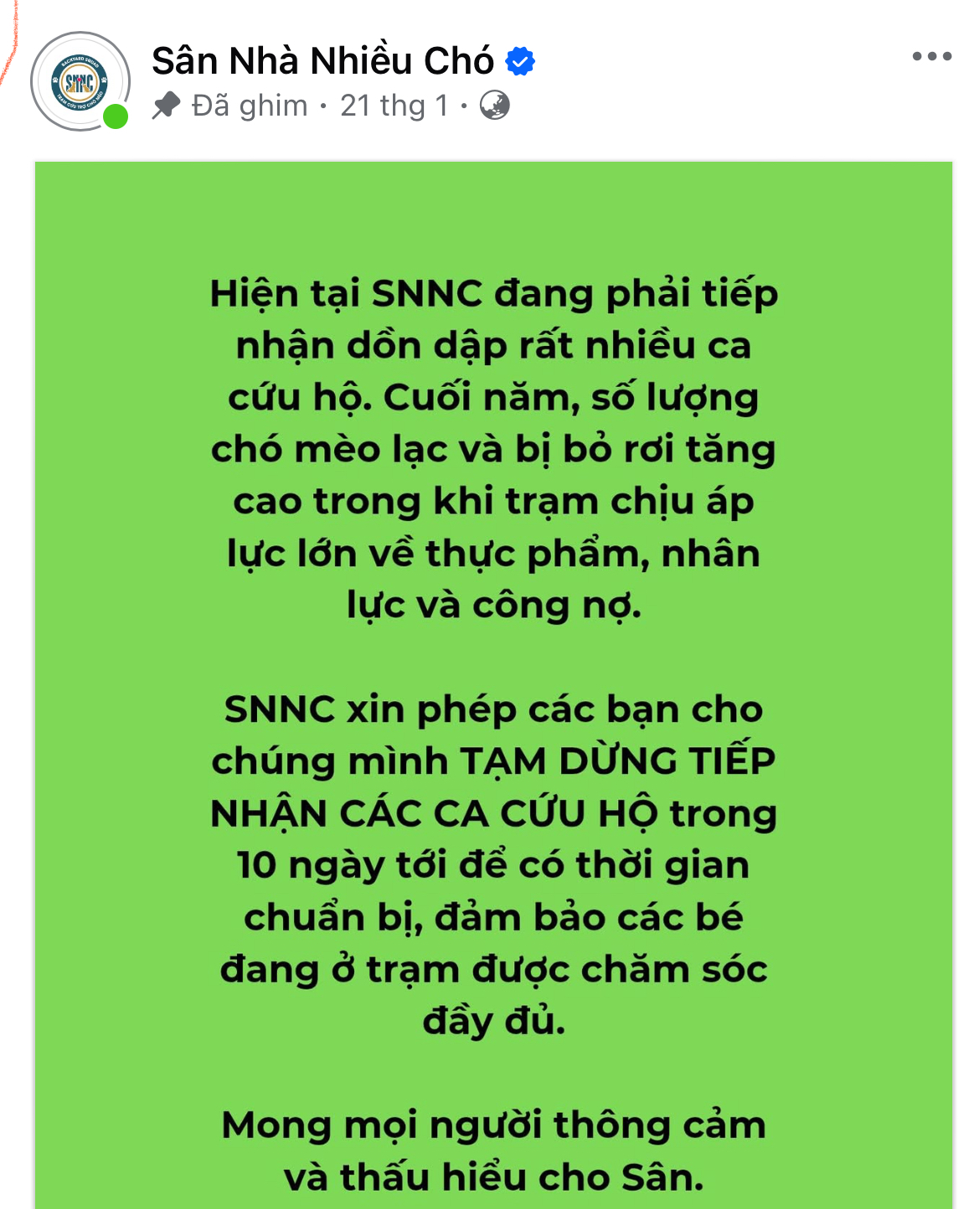 Ch&oacute; m&egrave;o bị chủ vứt bỏ gần Tết, gặp nạn v&agrave; bị bạo h&agrave;nh tăng đột biến: C&aacute;c trạm "cầu cứu"- Ảnh 1.