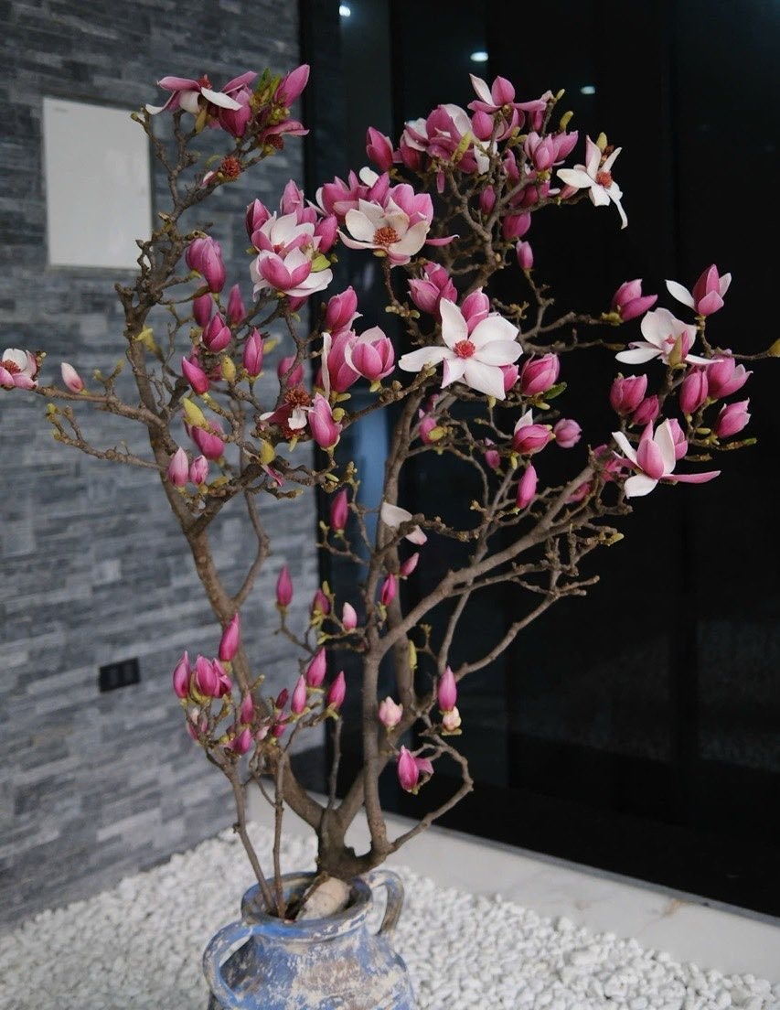 Bỏ tiền triệu m&agrave; vẫn 