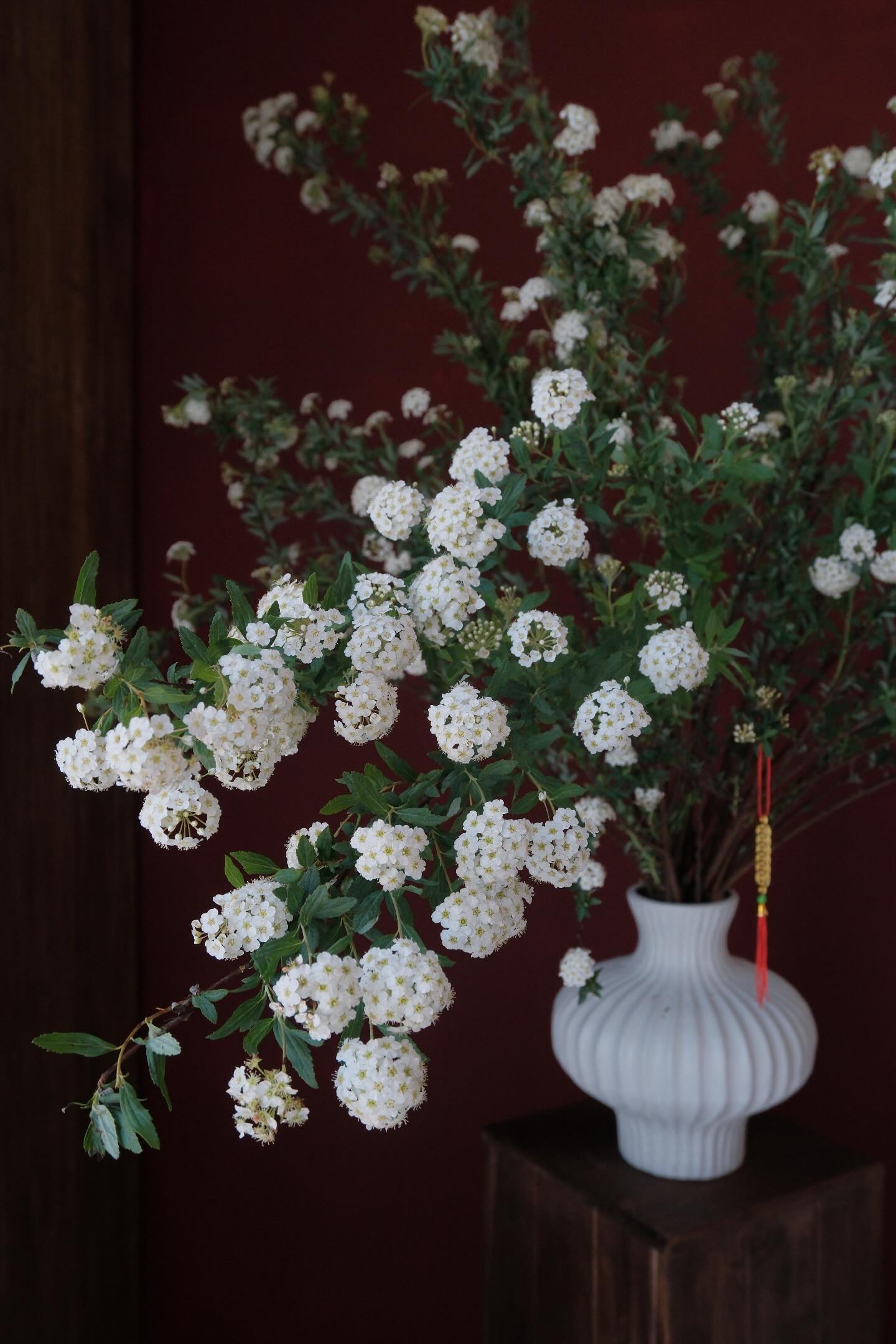 Loại hoa Nhật Bản đẹp tinh kh&ocirc;i b&ugrave;ng 