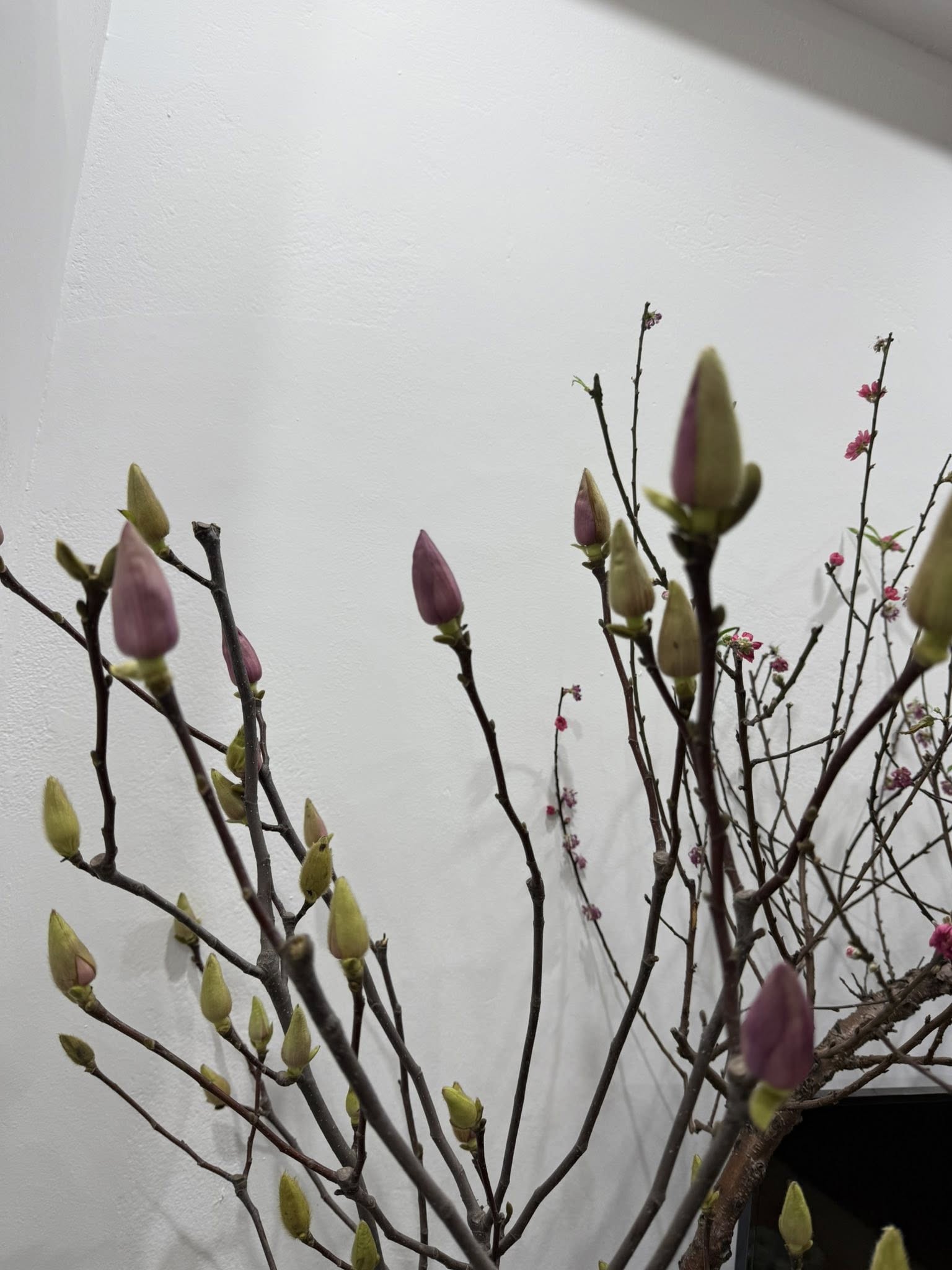 Bỏ tiền triệu m&agrave; vẫn 