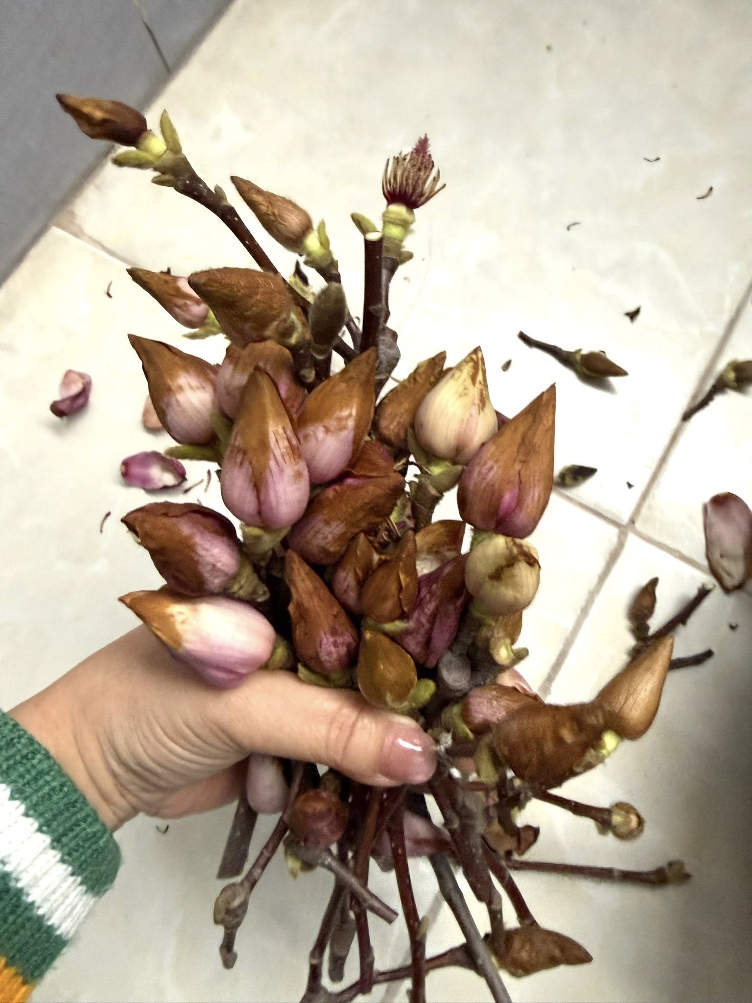 Bỏ tiền triệu m&agrave; vẫn 