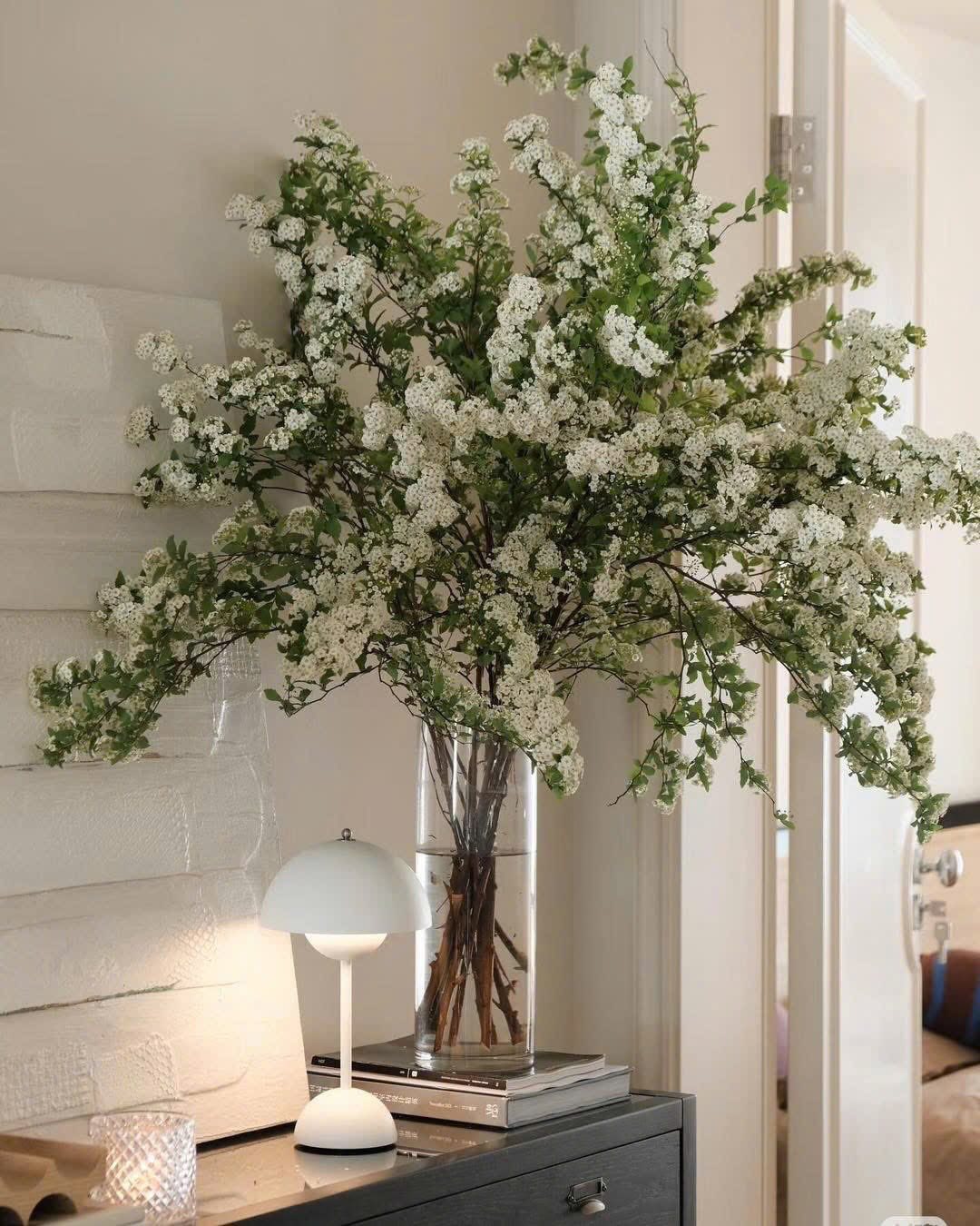 Loại hoa Nhật Bản đẹp tinh kh&ocirc;i b&ugrave;ng 