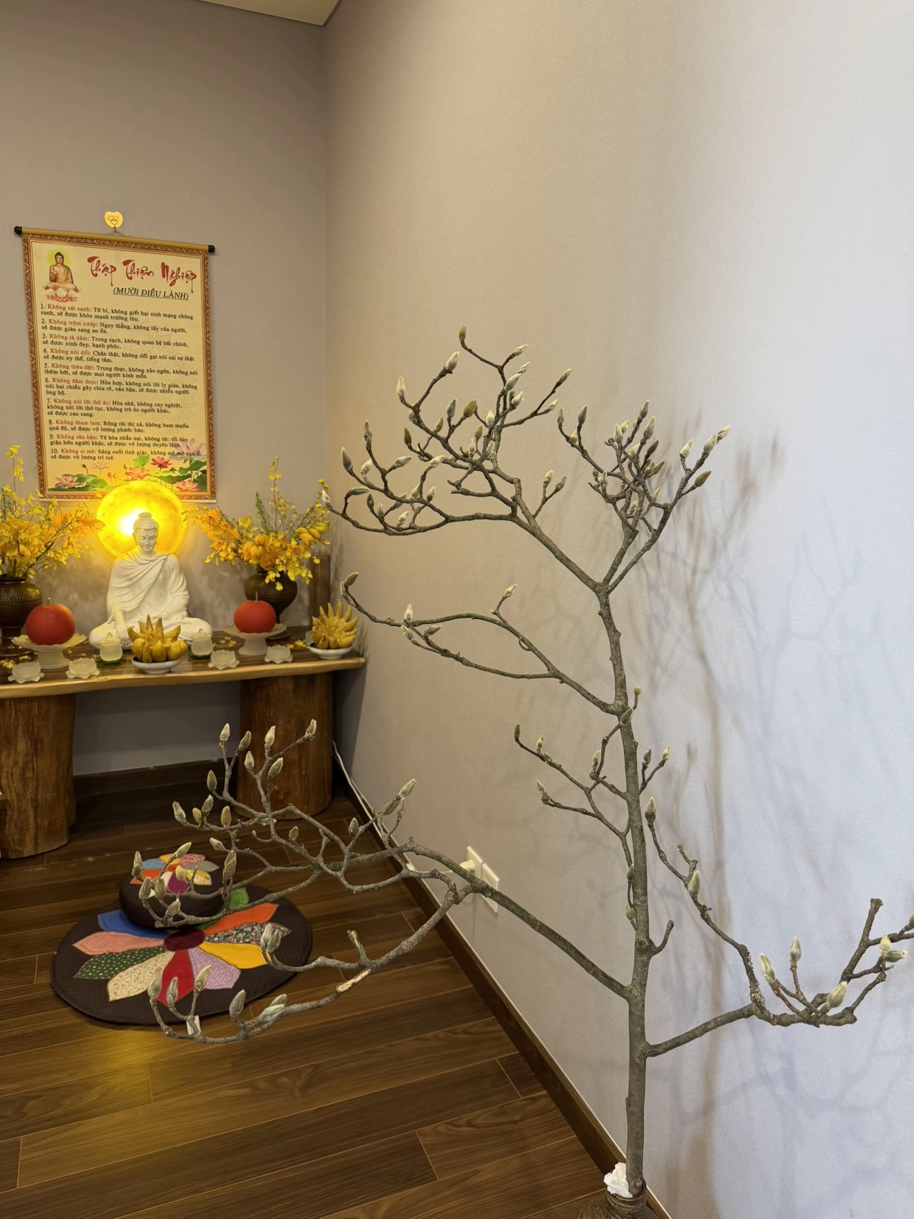 Bỏ tiền triệu m&agrave; vẫn 