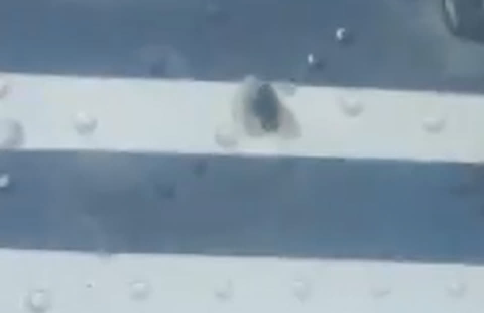 Indonesia: Cơ trưởng v&agrave; cơ ph&oacute; bị bắn tử vong ngay sau khi m&aacute;y bay hạ c&aacute;nh, h&agrave;nh kh&aacute;ch hoảng loạn th&aacute;o chạy tho&aacute;t th&acirc;n- Ảnh 2.