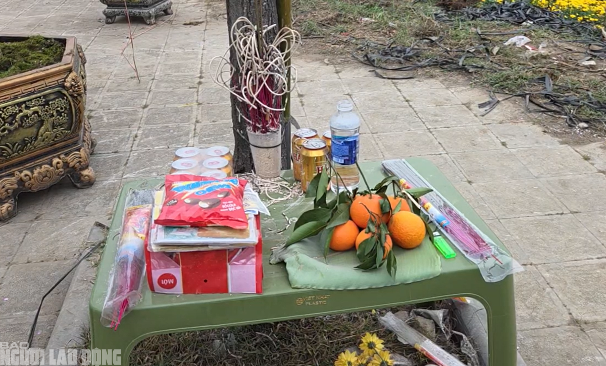 Đ&agrave;o nở thắm phố phường, tiểu thương đ&agrave;nh phải chặt bỏ c&acirc;y kh&ocirc;ng kịp v&agrave;o Tết- Ảnh 10.