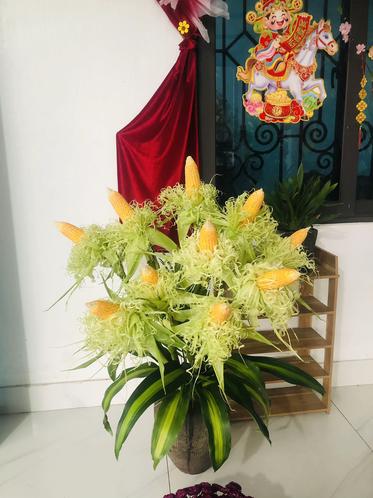 Chẳng cần đ&agrave;o mai tiền triệu, chị em rủ nhau cắm thứ "nh&agrave; qu&ecirc;" n&agrave;y: Đẹp sang chảnh, b&agrave;y ban Thần T&agrave;i h&uacute;t lộc, để 3 năm vẫn như mới!- Ảnh 4.